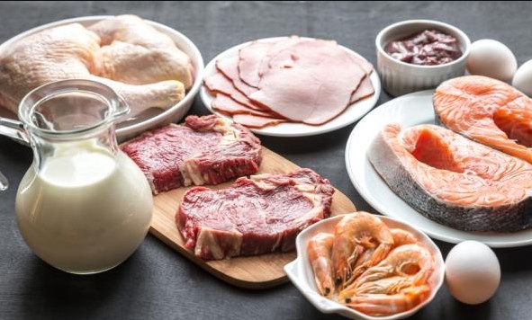 Белок рыба и мясо