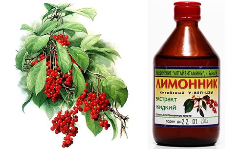 настойка лимонника