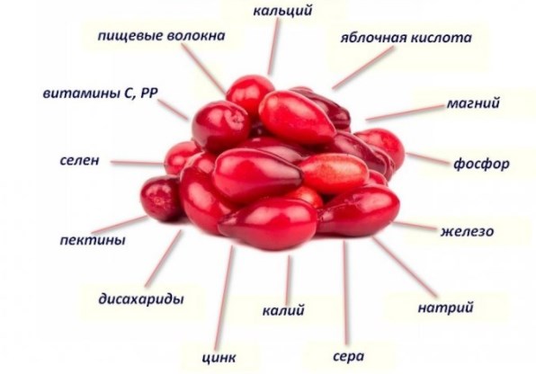 Что содержится в кизиле