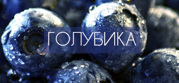 Голубика польза и вред