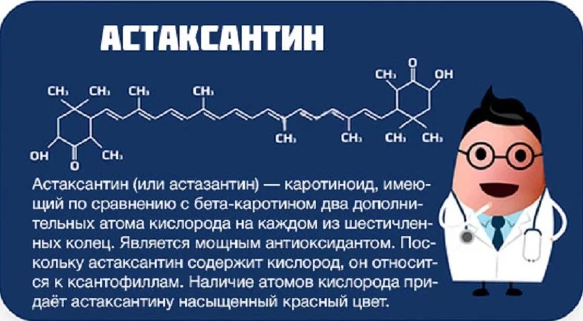 Астаксантин что это