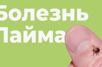 Болезнь Лайма симптомы