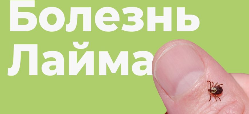 Болезнь Лайма симптомы