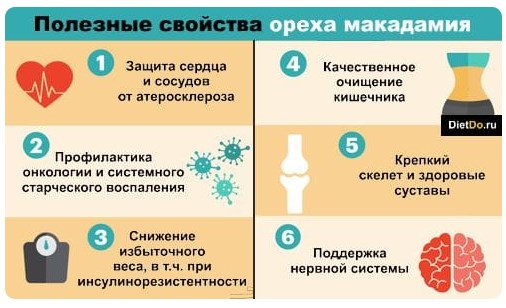 Полезные свойства макадамии