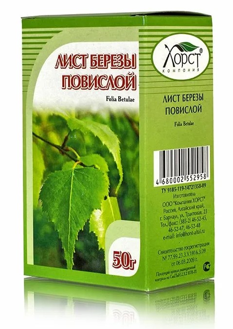 Лекарственное растение береза повислая - лист