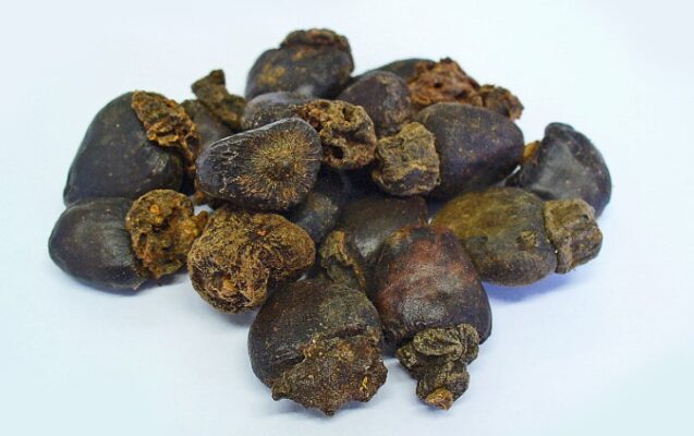 Anacardium orientale (Анакардиум) – семикарпус