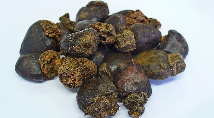 Anacardium orientale (Анакардиум) – семикарпус