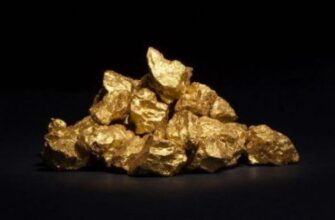 Aurum metallicum (Аурум металликум) – золото