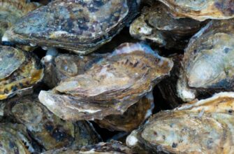 Calcarea carbonica (Calcium carbonicum) - Калькарея карбоника