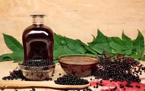 Польза черемухи для здоровья